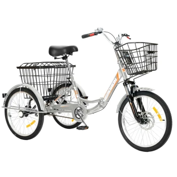 Трехколесный велосипед для взрослых РВЗ Чемпион 20" 1 скорость (складной) серебристый